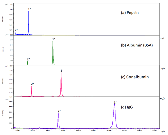 MALDI mass spectra of protein standard