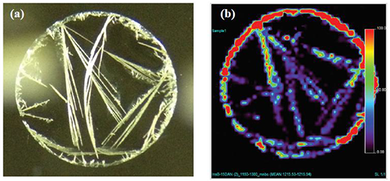 DANの結晶の光学顕微鏡像とInsulin B chainのISDにより生成したy10-ion ( m/z 1215.6 )のマスイメージ