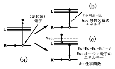 図1 オージェ電子発生原理図