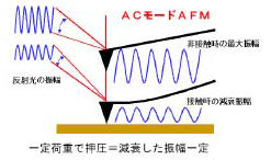 図10 ACモードAFM
