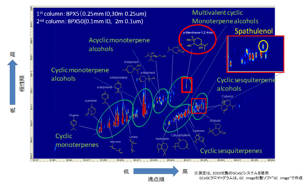 Fig. 1  GCxGC/EI TIC chromatogram