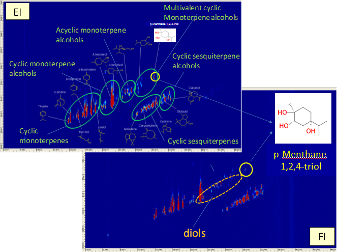 Fig. 2  GCxGC/EI and GCxGC/FI TIC chromatograms