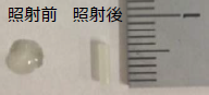 図1.UV照射前後の試料