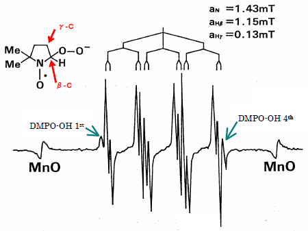 図２ DMPO-O2-スペクトルのバーグラム