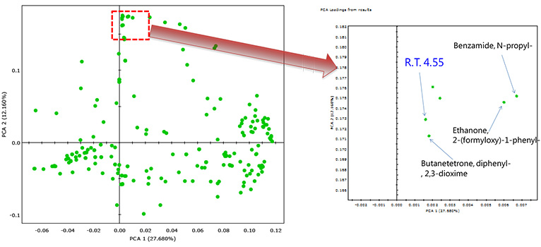 PCA loading plot for Polyvinyl acetate samples.