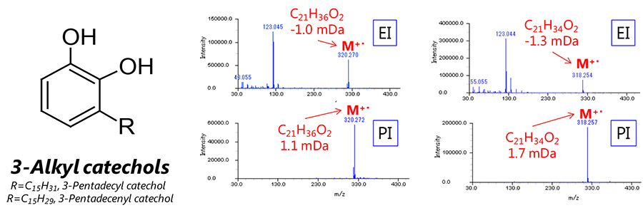 Mass spectra for 3-Pentadecyl catechol (left) and 3-Pentadecenyl catechol (right)