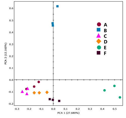 PCA score plot for Polyvinyl acetate samples.