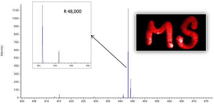 Mass imaging of “MS” literature written with red permanent ink.