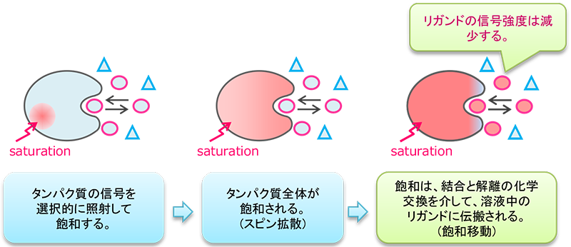 NMRによる医薬品のスクリーニング手法