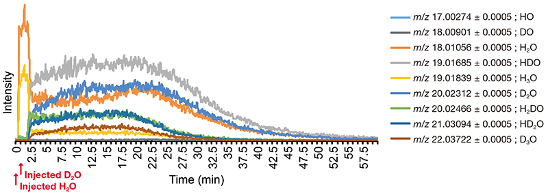 Extracted ion chromatogram.