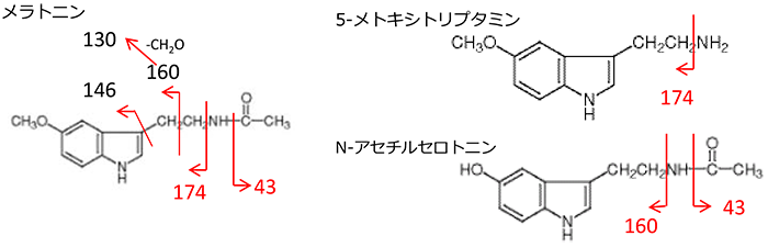 Fragmentation channels of melatonin, 5-methoxytryptamine and N-acetylserotonin