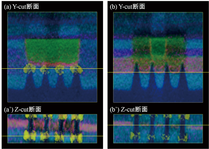 FinFET試料の3D元素マップ