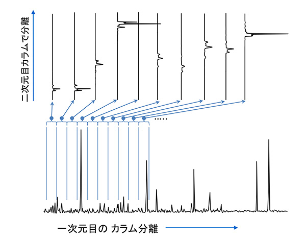 GC×GCで得られる二次元クロマトグラムの概念図