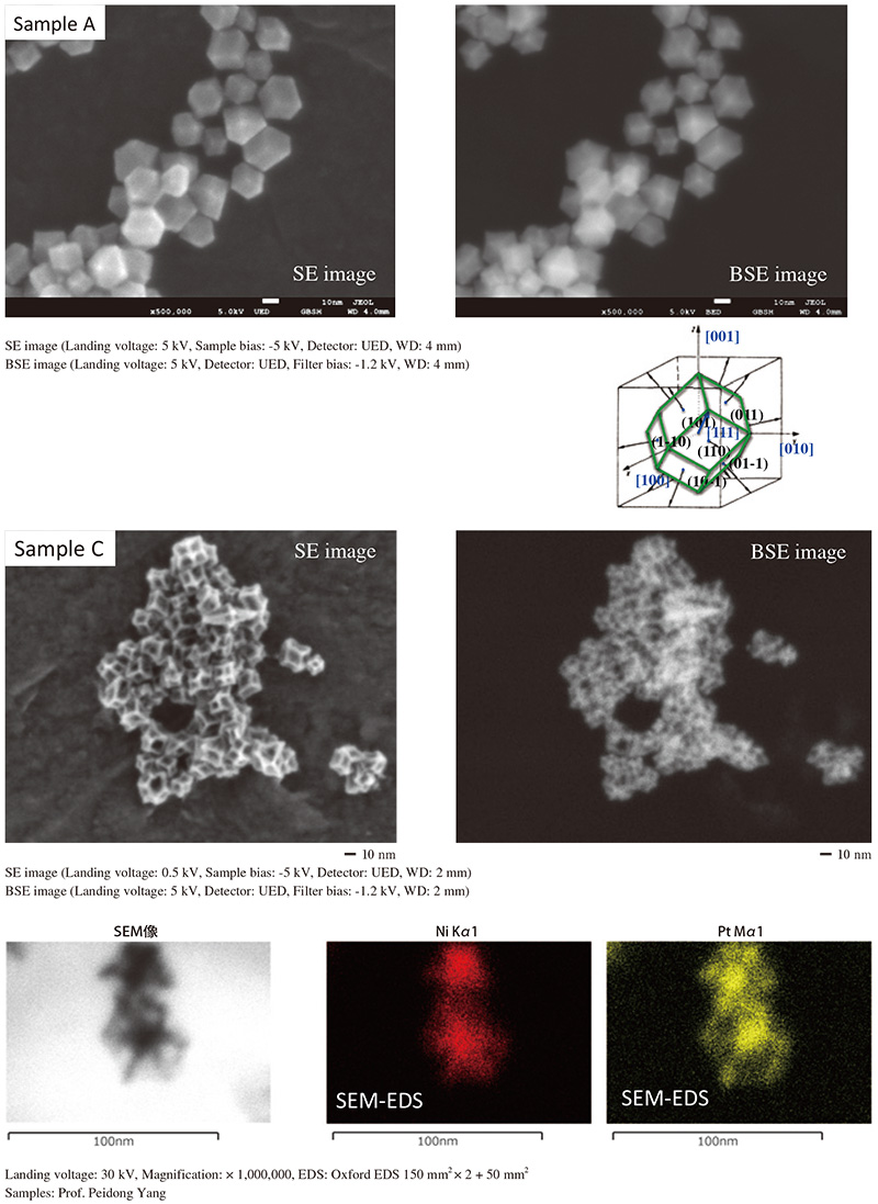 Analysis of nano frameworks of Ni-Pt alloy.