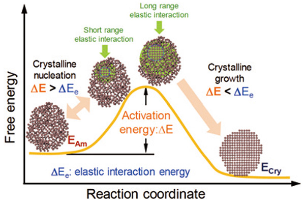 自由エネルギー変化と反応座標によって示された結晶核生成と成長過程の模式図