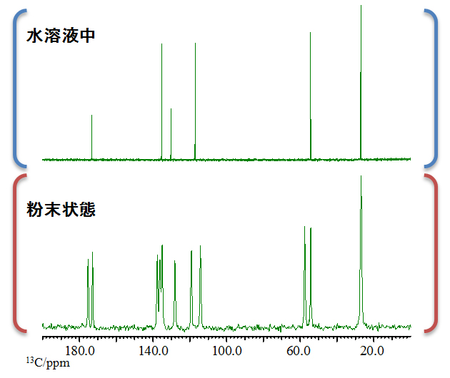 図1 上段：各試料10mgをD2Oに溶解させて測定した溶液<sup>13</sup>C NMRスペクトル / 下段：各試料を混合させた固体13</sup>C NMRスペクトル