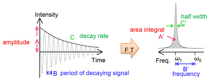 Figure 3. 指数減衰波の時間領域および周波領域での比較。