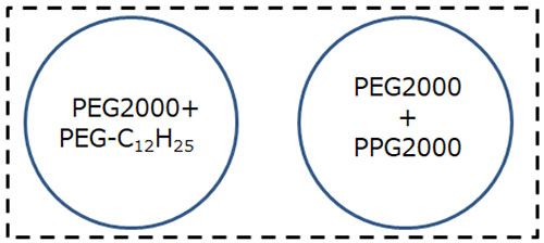 Schematic of the model sample.