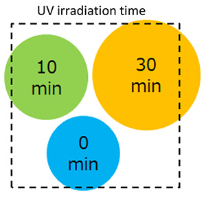 Schematic of the model sample.