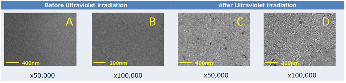 Fig. 2 Secondary electron image of PET film surface before and after ultraviolet ray irradiation.