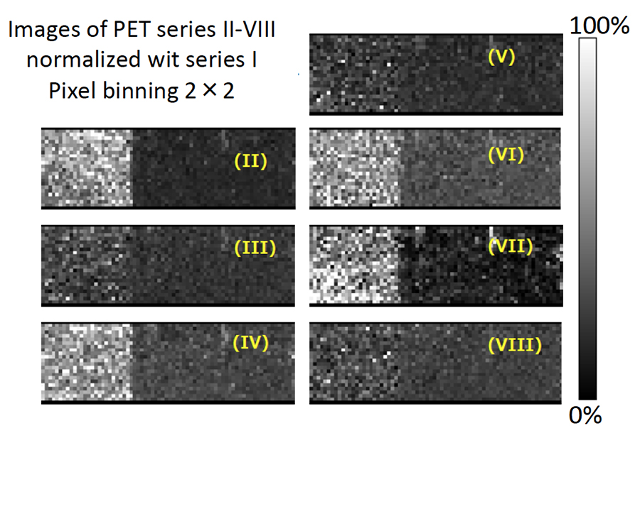 Fig. 5 Images of PET series II –VIII normalized with image of PET series I. 