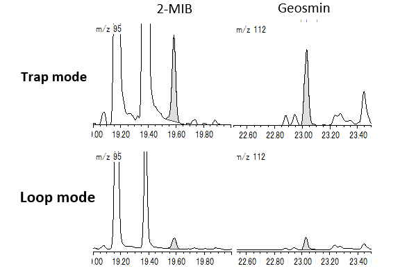 Fig. 2 SIM chromatograms of 2-MIB & Geosmin (1 ppt)
