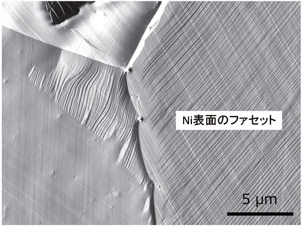 Fig.2 LED