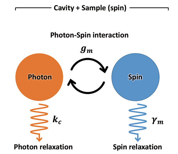 図1　Spin-cavity系のエネルギーの流れ