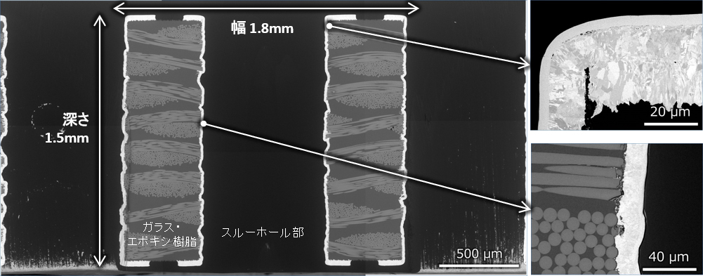 Fig.3 CPで作製した断面のSEM像 (反射電子組成像)
