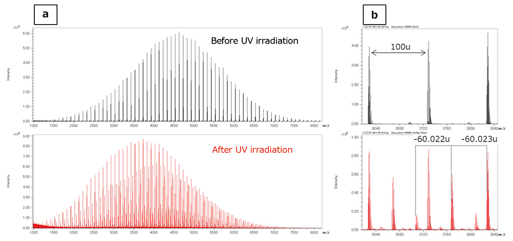 Fig. 4  Mass spectra of MMA before and after UV irradiation using MALDI-TOFMS