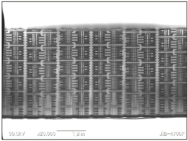 Gateレイヤー部の平面観察用薄片試料のSTEM像(撮影：JIB-4700F)