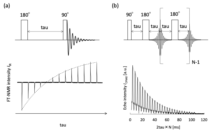 図3　(a)　Inversion recovery法のパルスシーケンスと測定結果の例、(b)　CPMG法のパルスシーケンスと測定結果の例