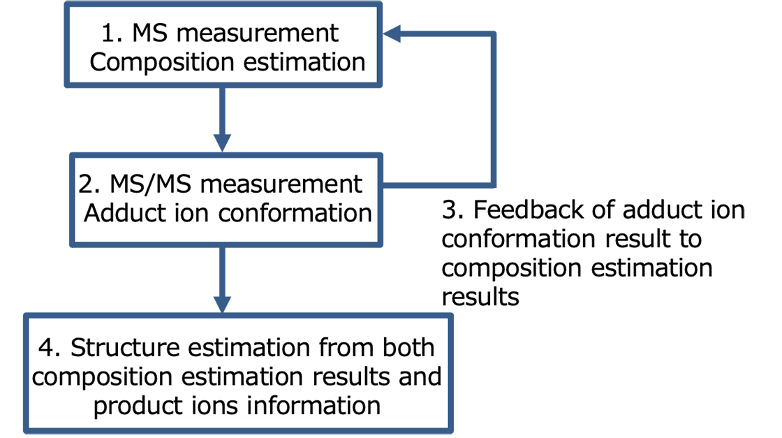 Figure 1. Measurement flow