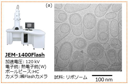 Fig. 5 (a) JEM-1400 Flash