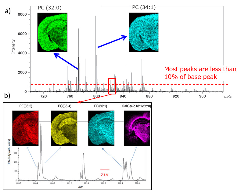 Figure 1 Averaged mass spectrum and extracted mass images of PCs, PEs and GalCer.