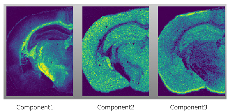 Figure 2  pLSA analysis of the high mass-resolution MALDI-MSI data