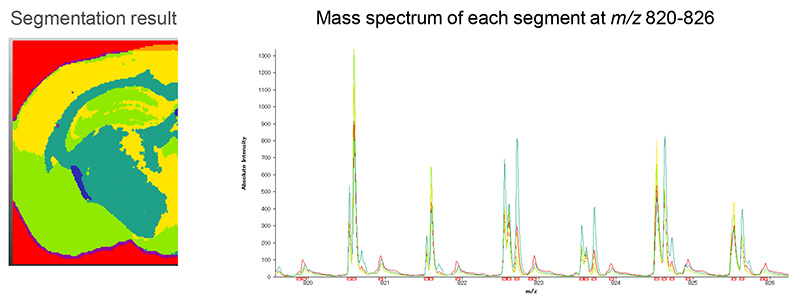 Figure 3 Segmentation of the high mass-resolution MALDI-MSI data