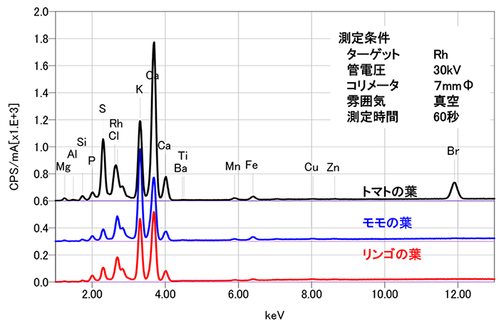 Xrfによる果物の葉の分析 アプリケーション 日本電子株式会社