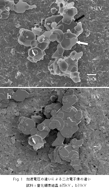 Fig.1 加速電圧の違いによる二次電子像の違い