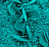 GB(緑・青)成分のみにした右目用画像