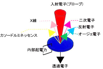図1： 電子線照射による各種の発生信号