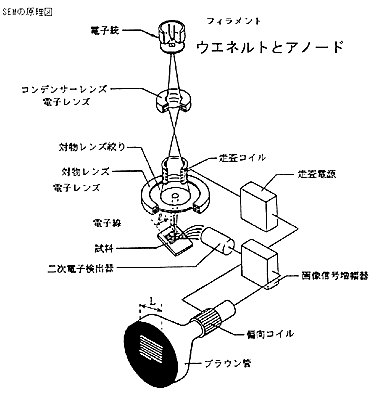 SEMの概略原理図