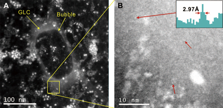 Fig. 10 HAADF (A and B) images of ferritin in a graphene liquid cell (GLC). Bubbles in (A) were formed in advance using the Ronchigram mode to confirm the presence of a liquid. In STEM mode, electron dose rate and pixel dwell time is optimized so that no further bubbles are formed during scanning. Single iron atoms are resolved in a liquid environment in image (B) near the edge of a GLC. A line profile across the upper left atom is shown as an inset of (B), with each pixel corresponds to 0.99 Å. The resolution of these images is optimized by taking images under the corresponding threshold area averaged dose rate of bubble formation at each magnification.