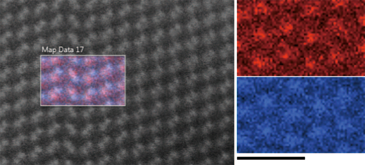 Fig. 8 An HAADF STEM image acquired across a twin boundary, viewed with the Cd L (red) and Te L (blue) series overlaid. The scale bar is 1 nm and applies to the individual element maps.