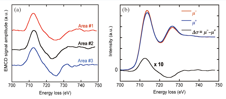 Fig. 5 Fig. 6 Representative EMCD spectra measured on a fine-grain polycrystalline Fe film by STEM-EELS at an accelerating voltage of 1 MV, in the case where a 5-eV low-pass filter is applied to the original spectra. (a) EMCD signals extracted during three independent trials, from different areas of the sample. (b) A pair of Fe-L2,3 spectra (μ+ and μ−) extracted from the dataset and the difference spectrum (EMCD signal)  = μ− −μ+.