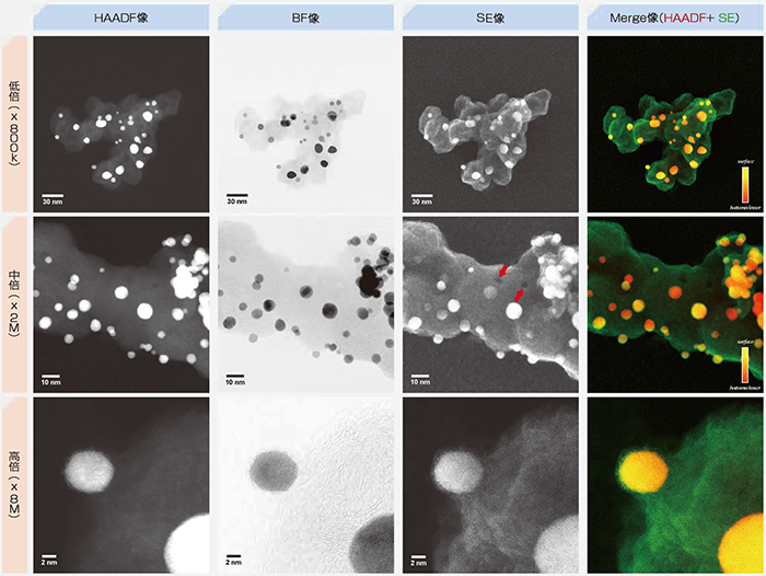 カーボン担体表面の観察(STEM-SEM同時観察)
