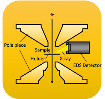 試料ホルダーと対物レンズポールピース周辺のEDS検出器の配置