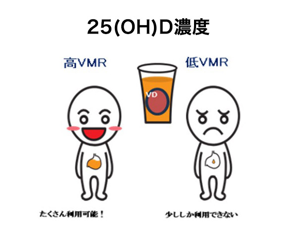 VMR(ビタミンD代謝比率)