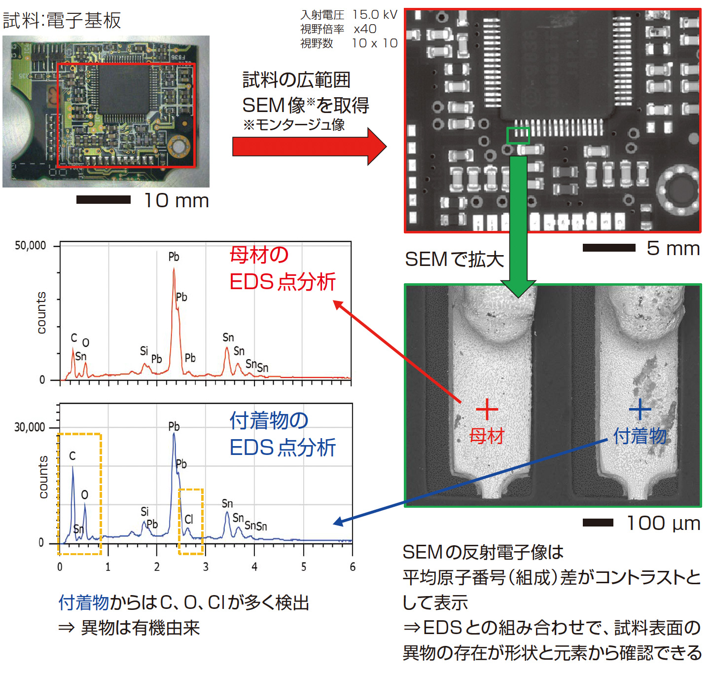 SEMによるによる電子基板上の付着物の分析結果。EDS分析により、付着物からC、O、Clを多く検出し、有機由来の異物であることを確認。
