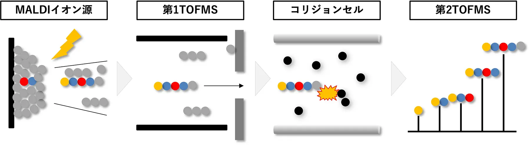 MALDIイオン源→第1TOFMS→コリジョンセル→第2TOFMS